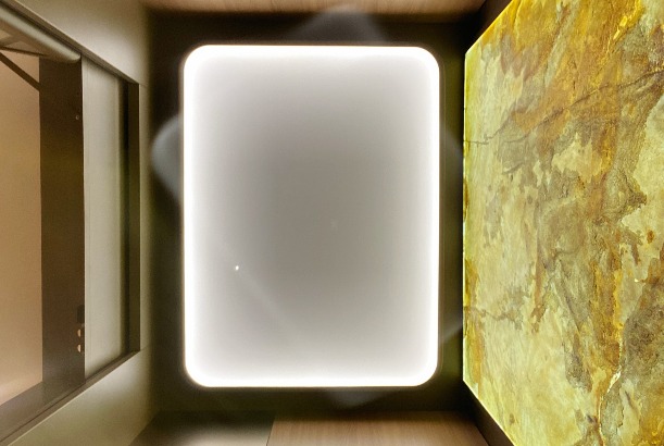 RIN-30 观光款龙门架电梯